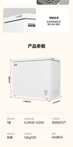Ronshen/容声 BD/BC-300E10HNLBJ大容量冰柜家用冷冻冷藏减霜冷柜