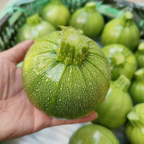 云南整箱嫩瓜南瓜新鲜西葫芦当季小圆瓜农家圆形型清绿皮瓜蔬 - 封面