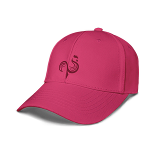 守望联赛战队电竞法国巴黎永生队鸭舌帽男女帽子游戏休闲设 无界