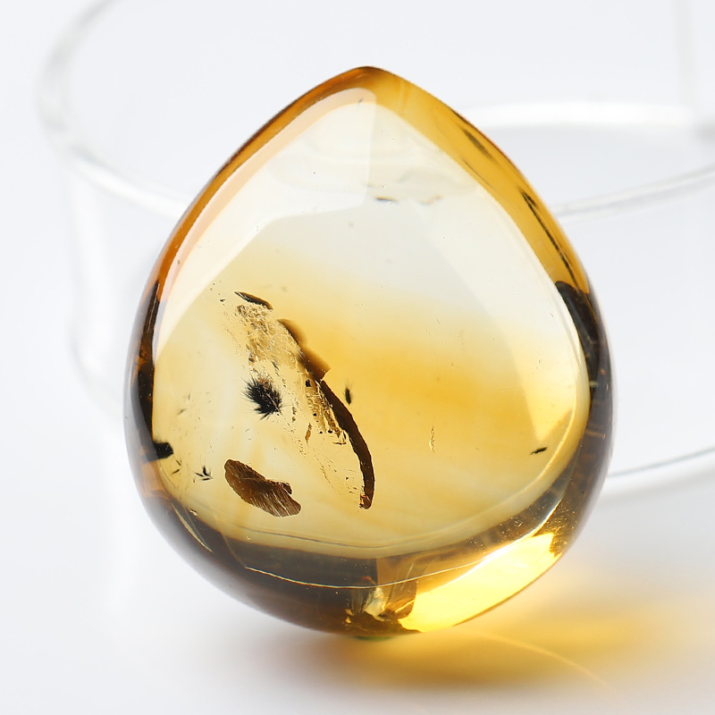 二十载珍藏，一念觉悟，破执