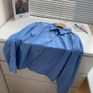 高级感宽松叠穿打底内搭外穿上衣外套 春季 纯棉蓝色衬衫 女2023新款