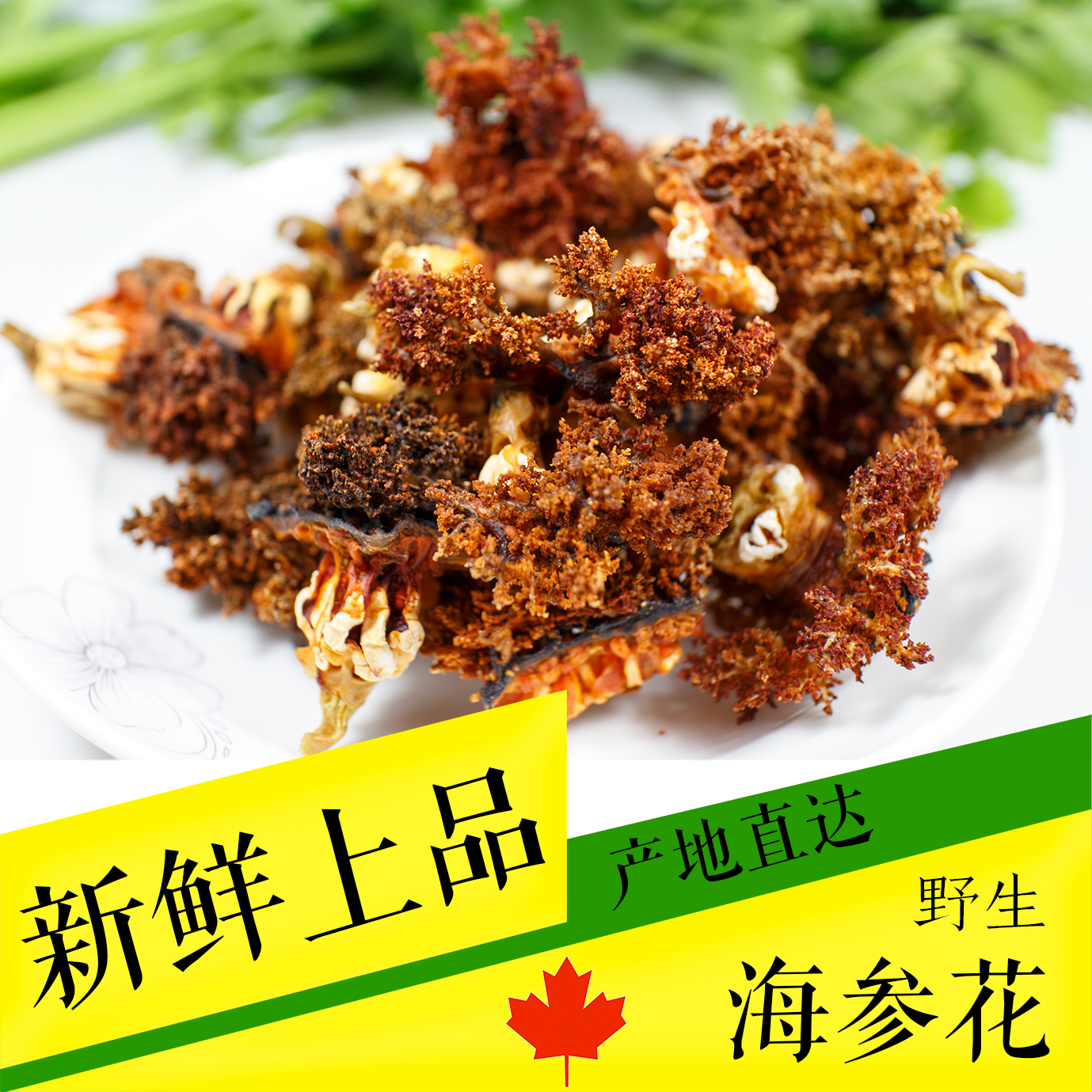 进口野生加拿大红极参海参头花 冰岛海参花 干货 参宝 包邮