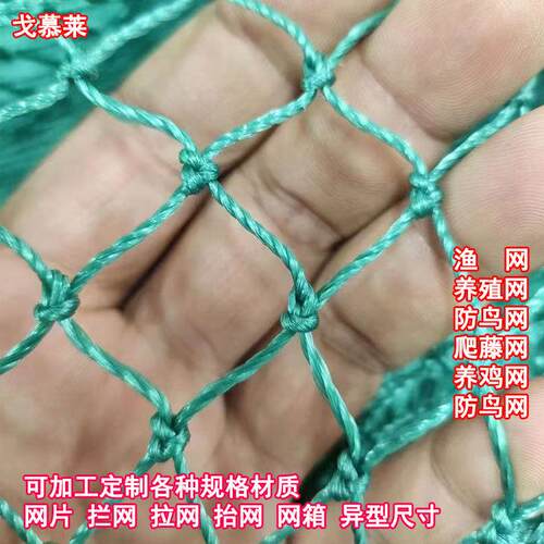 加厚围 养鸡防护ROO网栏鸡 山养网殖网