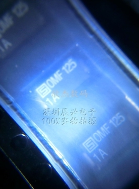 OMF125 1A/3404.0009.24 保险丝