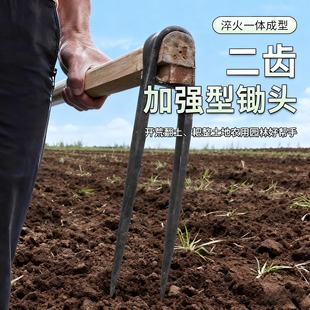 二齿耙子农用两齿耙两齿出头二尖齿锰钢挖土工具锄头手工锻打老式