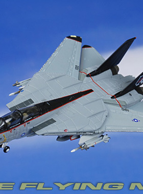 hogan HG6597美国海军1/200 F-14 F14雄猫战斗机合金成品飞机模型