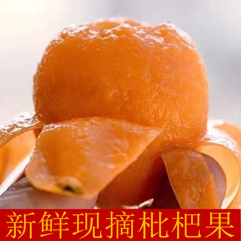 云南枇杷高山新鲜水果米易枇杷
