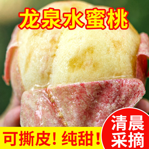 四川龙泉水蜜桃现摘软桃耙桃子