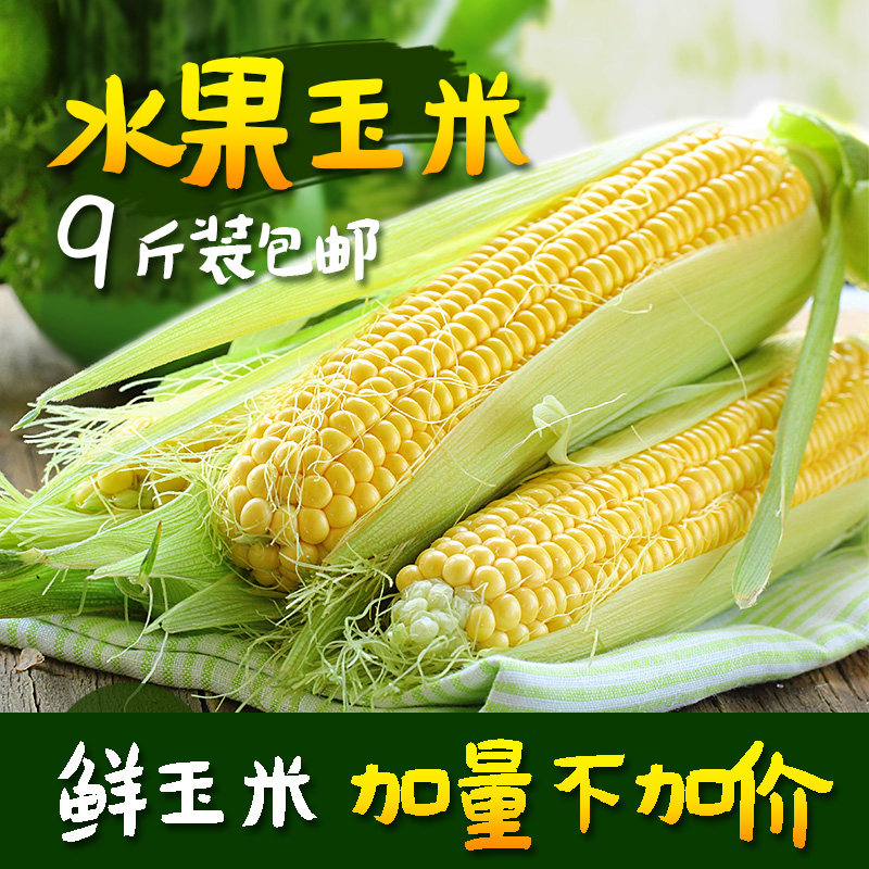 Fruit Corn Fresh vegetables 9 pounds loaded fresh Sweet corn stick Yunnan Fresh cornin the Aquatic meat/Fresh fruits and vegetables/Cooked , Fresh vegetables/Vegetable products , Fresh vegetables , Other  category - from Buy2taobao.com to provide professional Taobao agent buy service