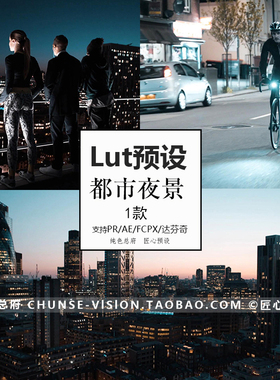 都市夜景Lut预设REC709/Slog2/slog3/AE/PR/FCPX/luts视频预设