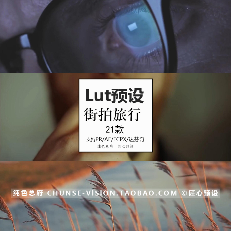 PR剪辑调色Lut预设 旅拍街拍夜景Ae/FCPX/Ps/达芬奇视频Luts预设