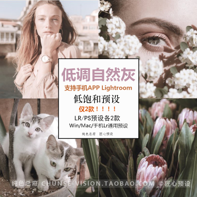 高级自然灰lightroom预设ps滤镜电脑手机lr预设ins静物情绪人像