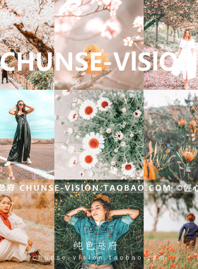 LR预设 2021 ins初春流行人像清新粉lightroom预设PS通透滤镜LUT