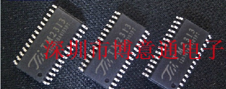 TM2313  数字控制音频处理电路 SOP-28 车载音频  全新 可直拍