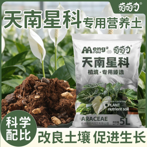 天南星科专用土龟背竹专用土高品质透气疏松种植土天南星科专用土