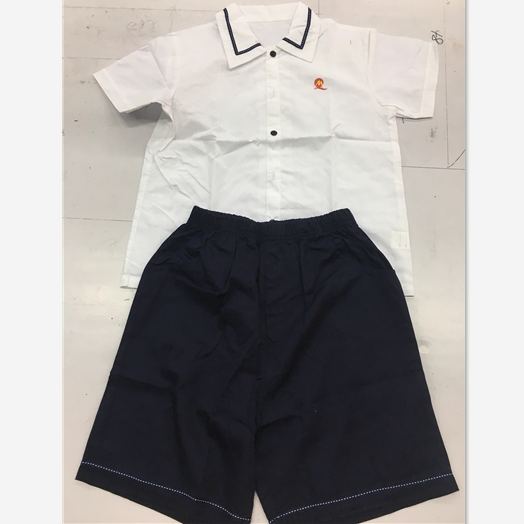 上海民办马桥小学夏季短袖秋季衣