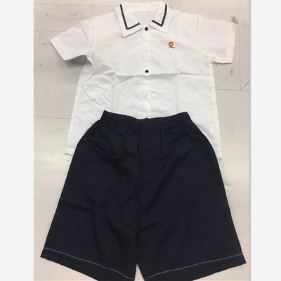 上海民办马桥小学夏季短袖秋季衣