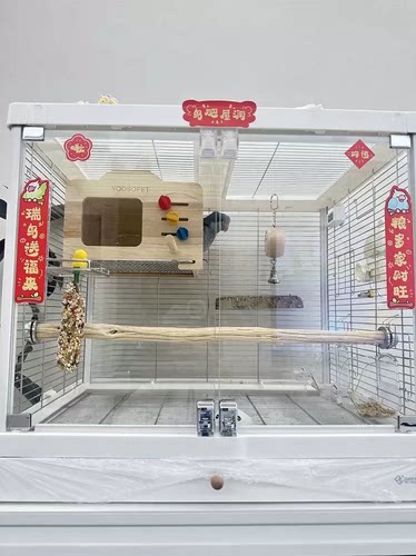 达洋6045SS 6047SS笼内站杆野梨木鹦鹉站杆两头固定通杆实木站杆
