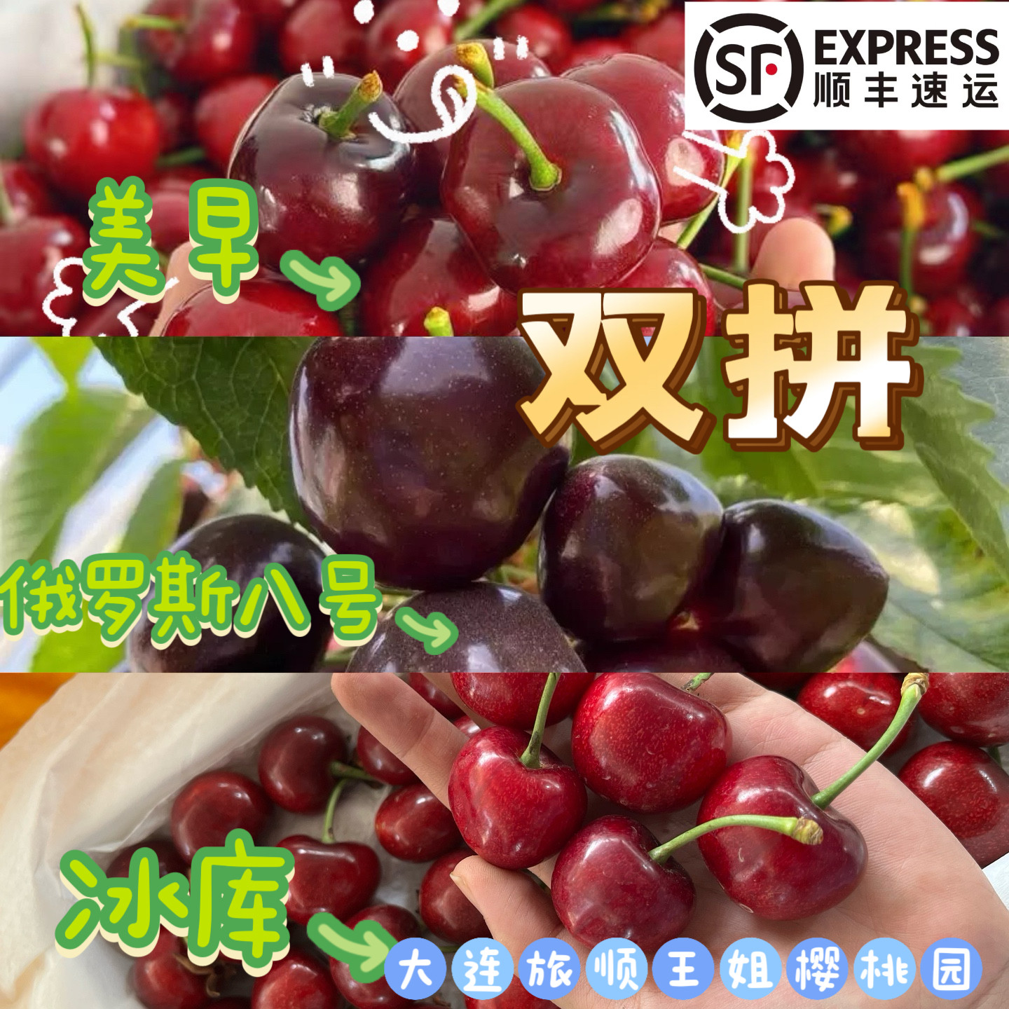 现货树上熟双拼冰库美早俄八双拼大连樱桃陆地车厘子送礼自家果园 - 实物图