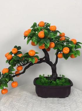 仿真水果盆景假桔子富贵果塑料果树盆栽室内客厅装饰绿色创意摆设