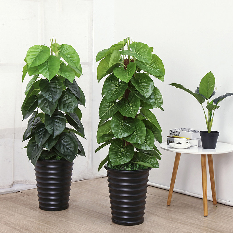 加密仿真绿萝滴水观音盆栽客厅玄关落地摆放装饰塑料假花绿植盆景