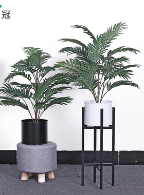 仿真小散尾葵盆景桌摆室内装饰摆件客厅布景盆栽绿色植物摄影道具