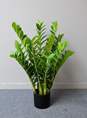 仿真绿植金钱树单支树盆栽办公室客厅装饰摆放绿色乔迁招财树盆景