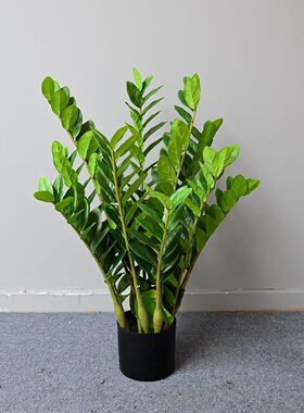 仿真绿植金钱树单支树盆栽办公室客厅装饰摆放绿色乔迁招财树盆景