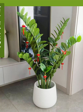 仿真绿植金钱树单支树盆栽办公室客厅装饰摆放绿色乔迁招财树盆景