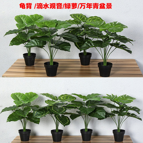 仿真绿植sai冠工艺源绿萝盆景