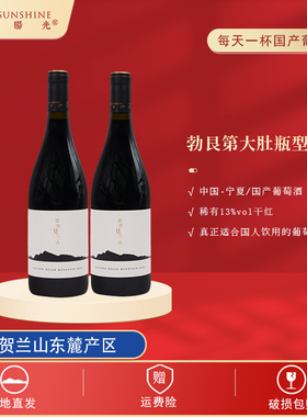 【贺兰阳光】宁夏贺兰山东麓产区山海干红葡萄酒750ml*2 精品佳酿