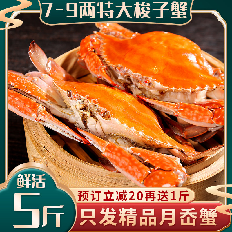 梭子蟹鲜活大白蟹舟山海鲜野生螃蟹新鲜水产大公蟹海蟹飞蟹顺丰