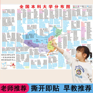 全国公办大学分布地图双一流985211海报高考考研户外防水背胶挂图