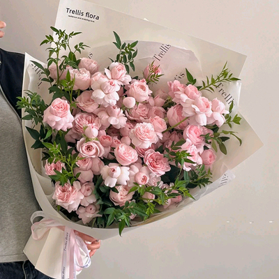 圣诞节花束仙子之吻多头