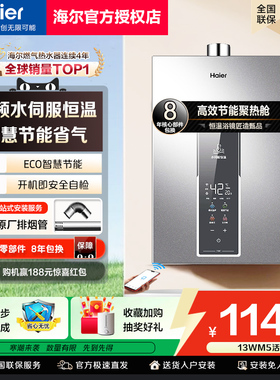 海尔燃气热水器天然气水伺服变频恒温节能13L16家用强排式新款WM5