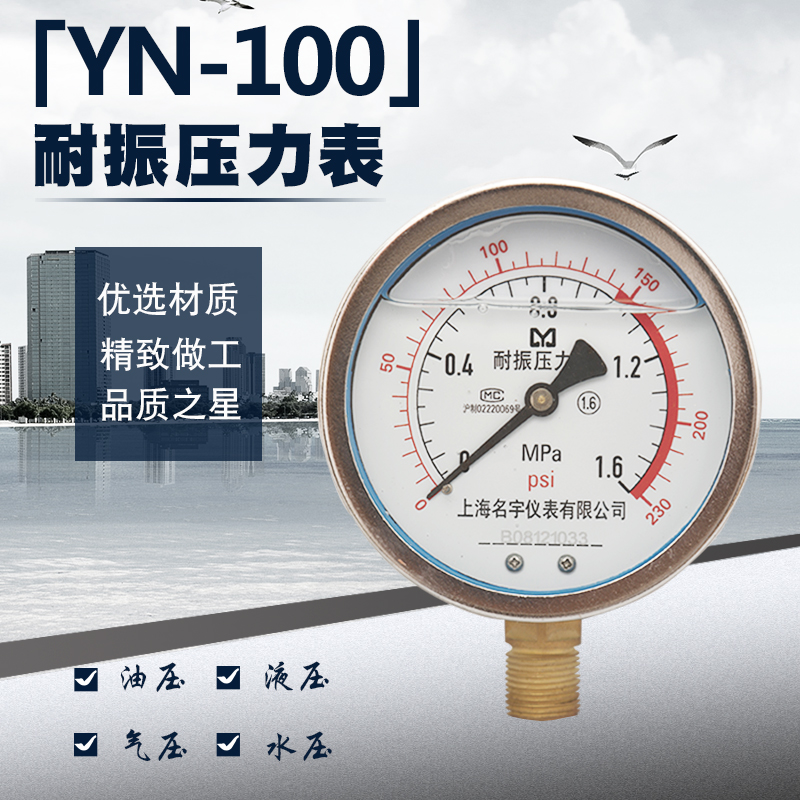 耐震压力表YN100防震 0-0.6/1/1.6/2.5/4/6/10/40Mpa水压油压气压