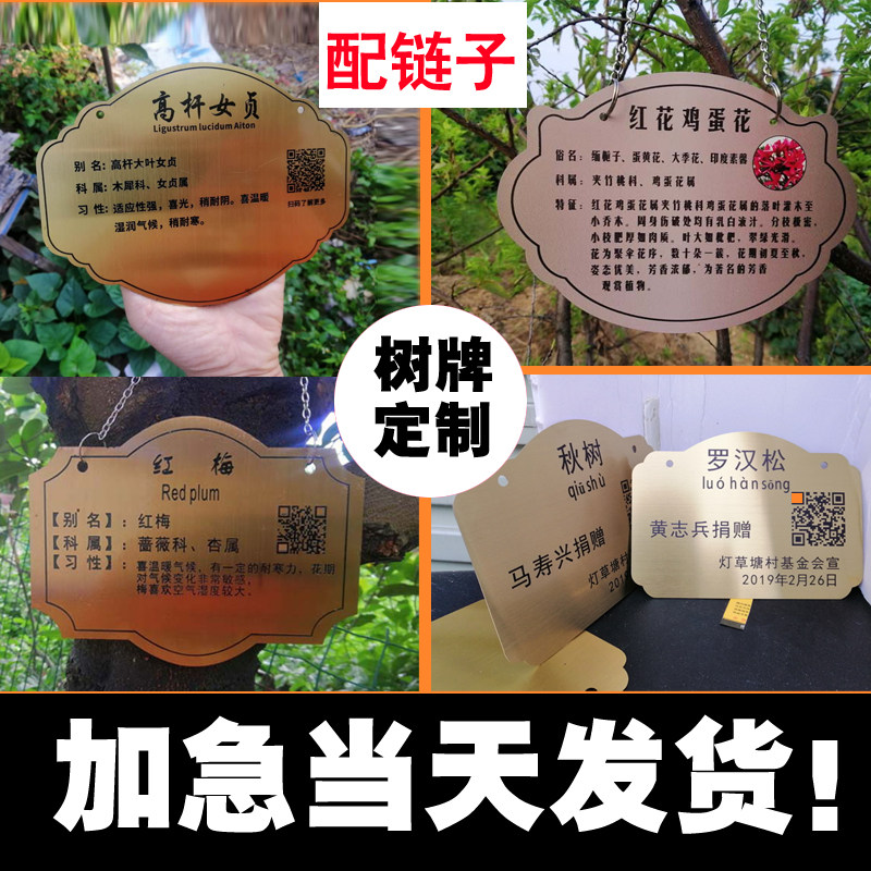 树牌定制腐蚀牌丝印牌 插地牌花草牌不锈钢木树牌挂牌二维码牌
