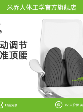 米乔 人体工学减压腰垫 气动版 WP-4101