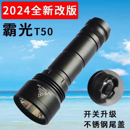 PALIGHT远射户外家用强光手电筒