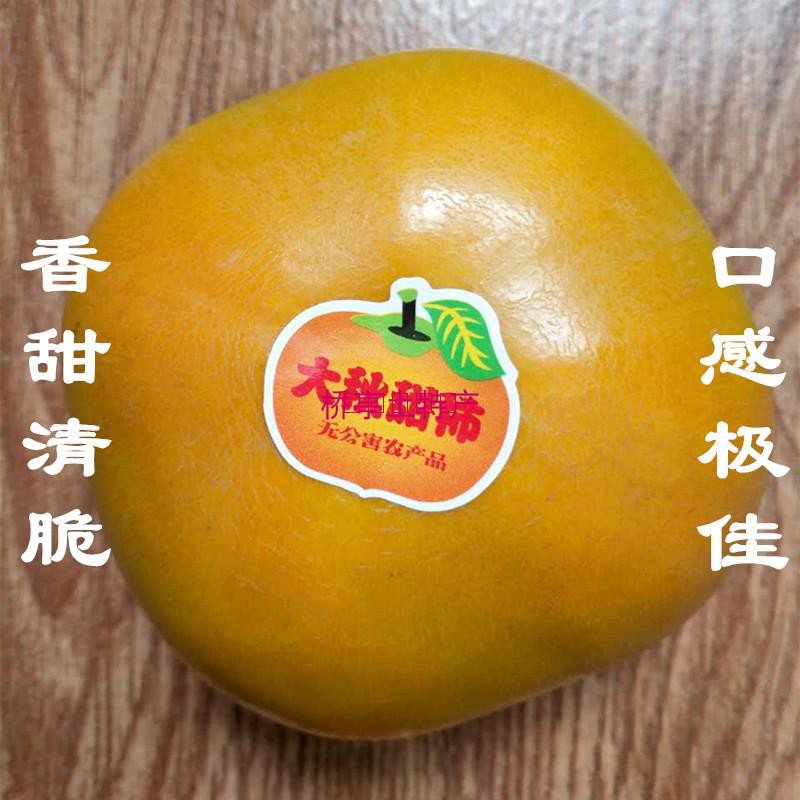 正宗日本太秋大秋甜柿脆柿子广西桂林新鲜水果产地直发坏果包赔