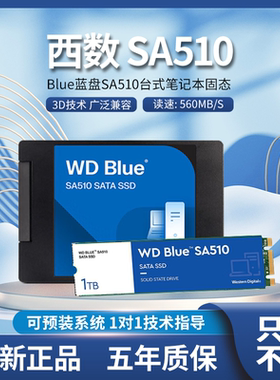 WD/西部数据 蓝盘SA510 500GB 1TB 2TB 4TB SATA3全新SSD固态硬盘