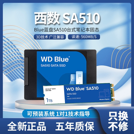 WD/西部数据 蓝盘SA510 500GB 1TB 2TB 4TB SATA3全新SSD固态硬盘