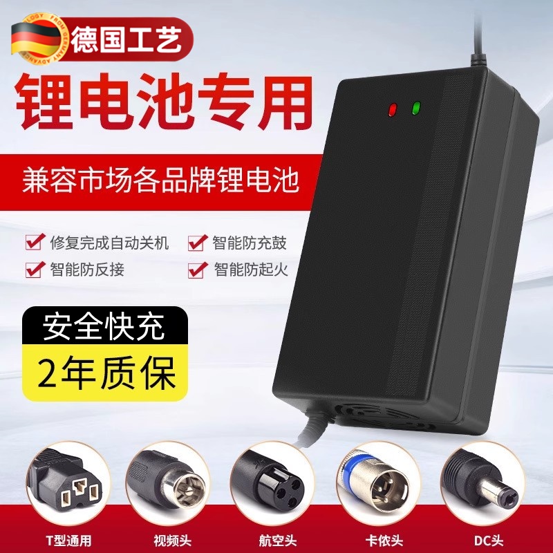 锂电池专用电动车充电器!安全款