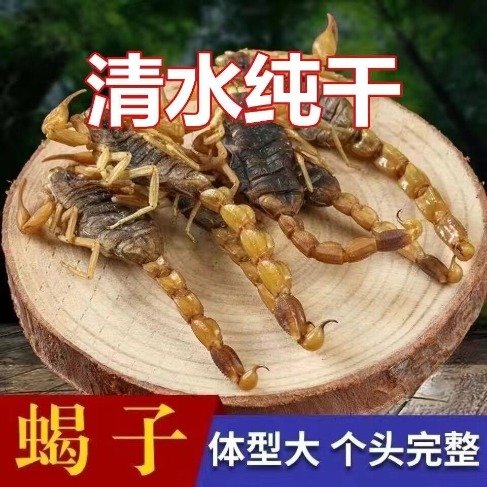 全蝎整条公蝎子清水干货泡酒煲汤