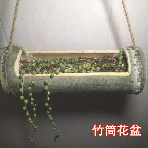 复古色竹筒花盆花器垂吊花盆新鲜竹子花盆种植花卉绿植多肉竹制 - 封面