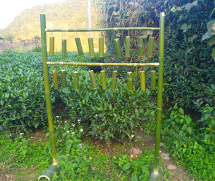 竹子玩具音乐敲打器小孩子户外室内玩具竹子敲打器械击打玩具特色
