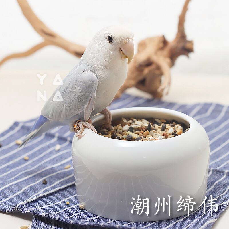牡丹鹦鹉用品信鸽陶瓷防溅鸟食罐