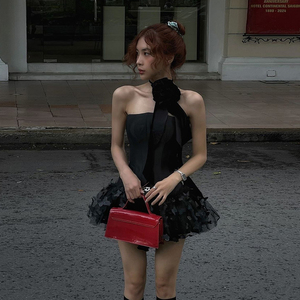 怪诞女孩 法式黑天鹅蕾丝蝴蝶装饰抹胸连衣裙女 露背高腰蓬蓬短裙