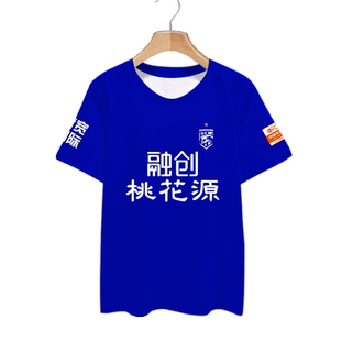 2023年武汉三镇队足球迷服冰丝速干短袖T恤衫男女凉快球衣服半袖