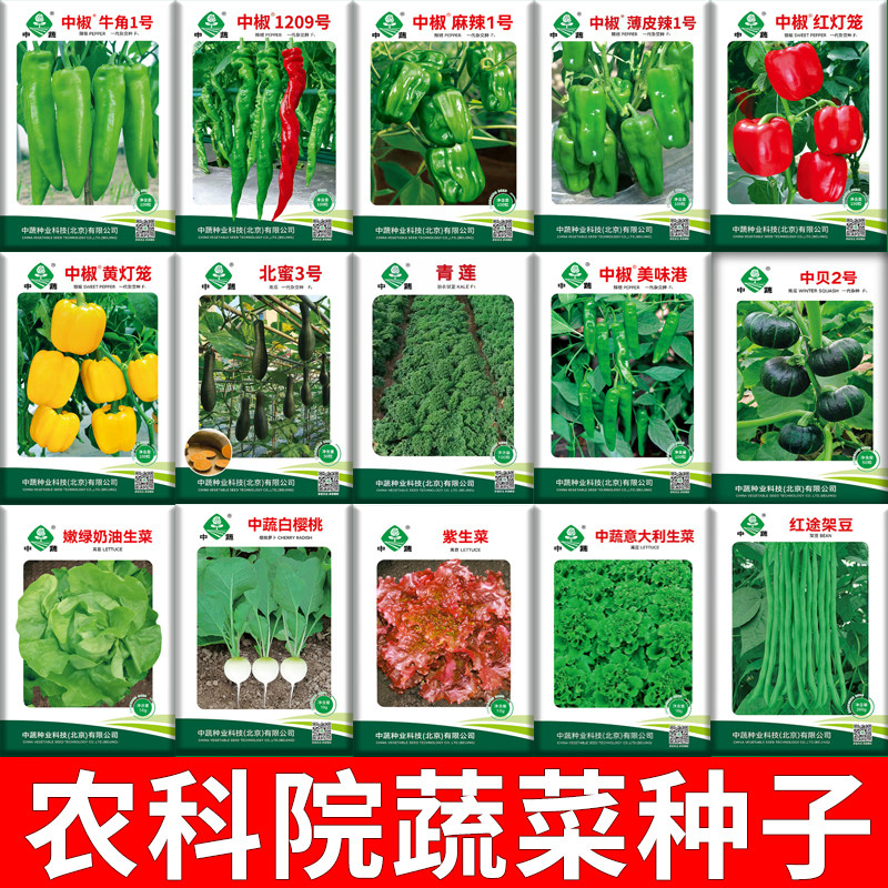 农科院种子蔬菜种孑番茄中国农科院菜籽辣椒籽黄瓜种籽油菜生菜